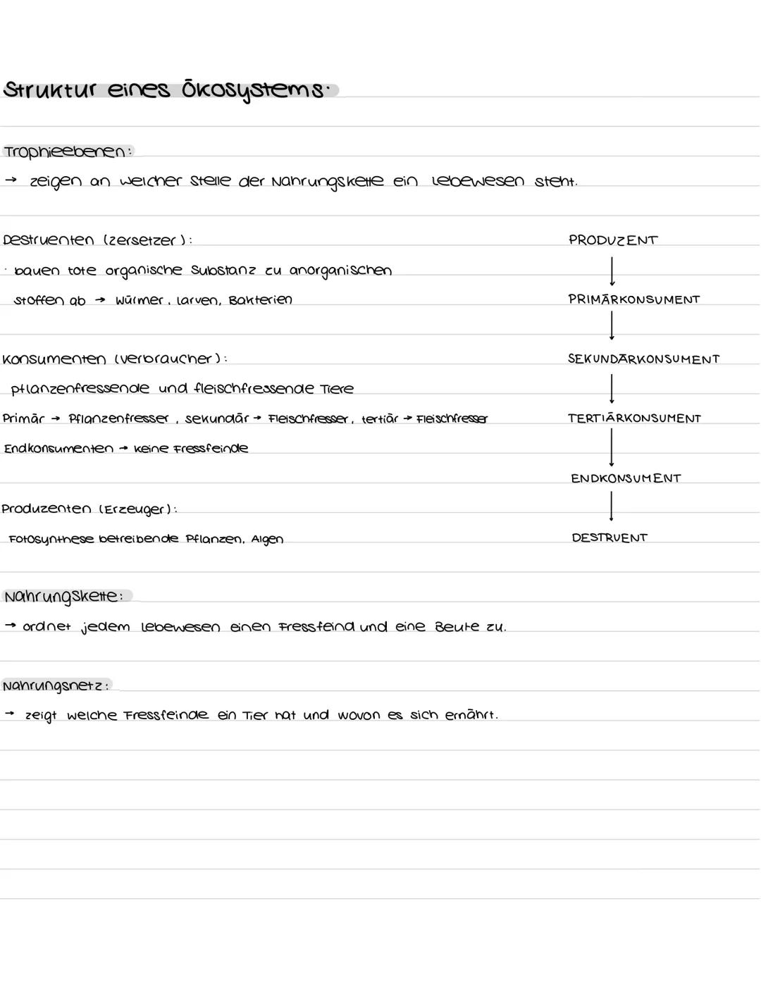 Populationen:
K- und R-Strategen.
→ verschiedene Strategien zum populationswachstum
K-Strategen
geringe vermehrungsrate
lange Generationsdau