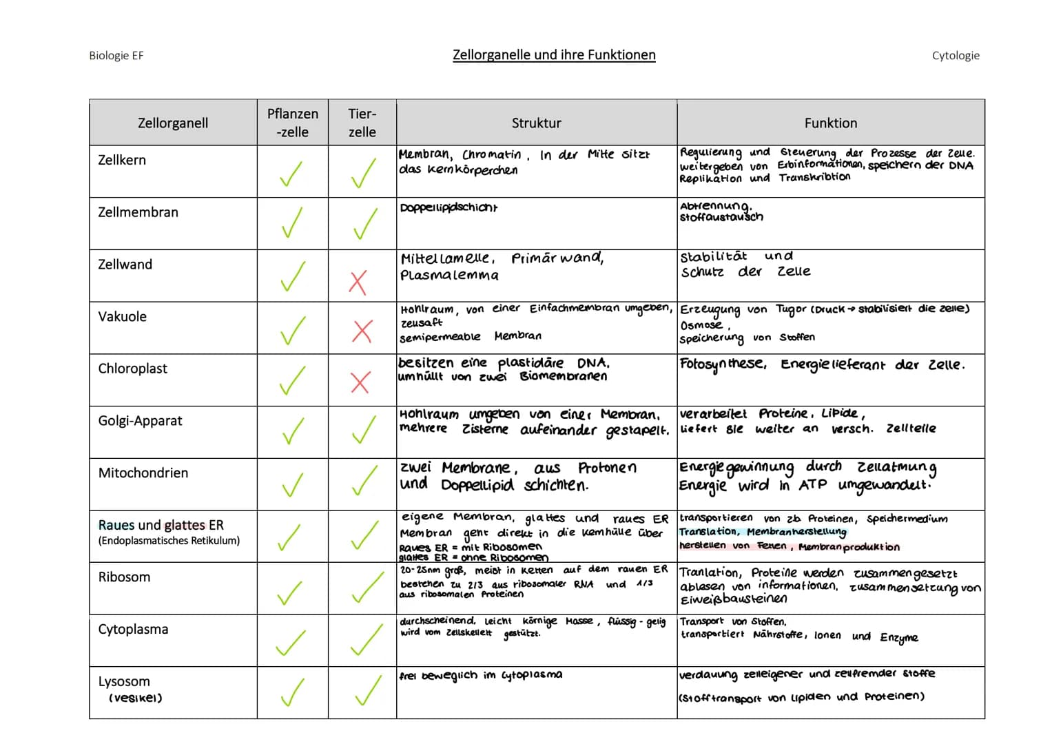 Populationen:
K- und R-Strategen.
→ verschiedene Strategien zum populationswachstum
K-Strategen
geringe vermehrungsrate
lange Generationsdau