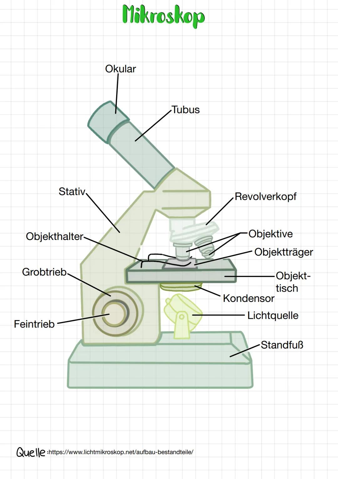 Objekthalter-
Stativ
Grobtrieb-
Feintrieb
Quelle
Mikroskop
Okular
Tubus
:https://www.lichtmikroskop.net/aufbau-bestandteile/
Revolverkopf
-O