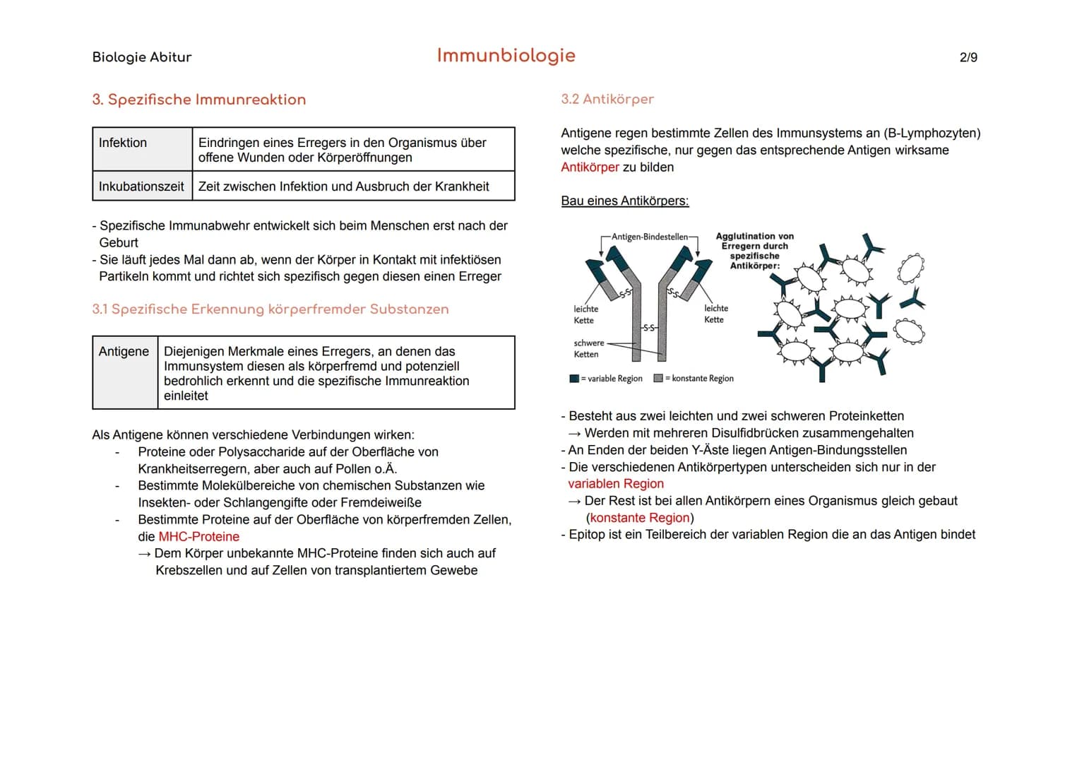 
<p>Das Blut hat verschiedene Aufgaben im Körper, darunter den Stofftransport von Sauerstoff, CO₂, Nährstoffen und Hormonen, die Regulation 