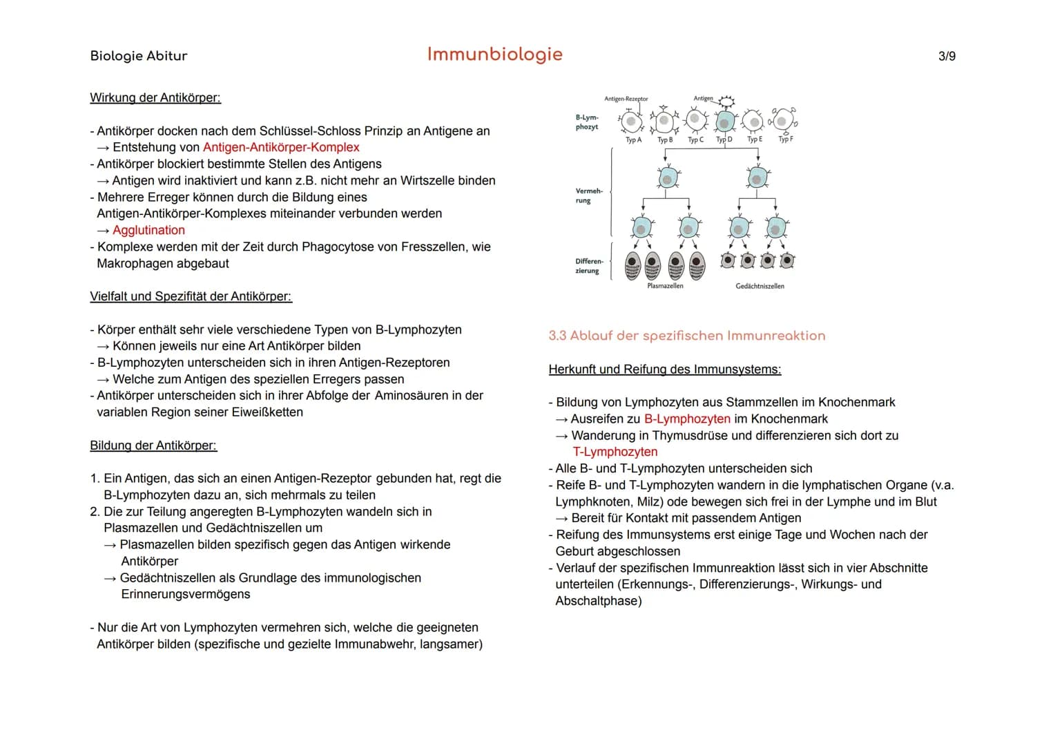 
<p>Das Blut hat verschiedene Aufgaben im Körper, darunter den Stofftransport von Sauerstoff, CO₂, Nährstoffen und Hormonen, die Regulation 