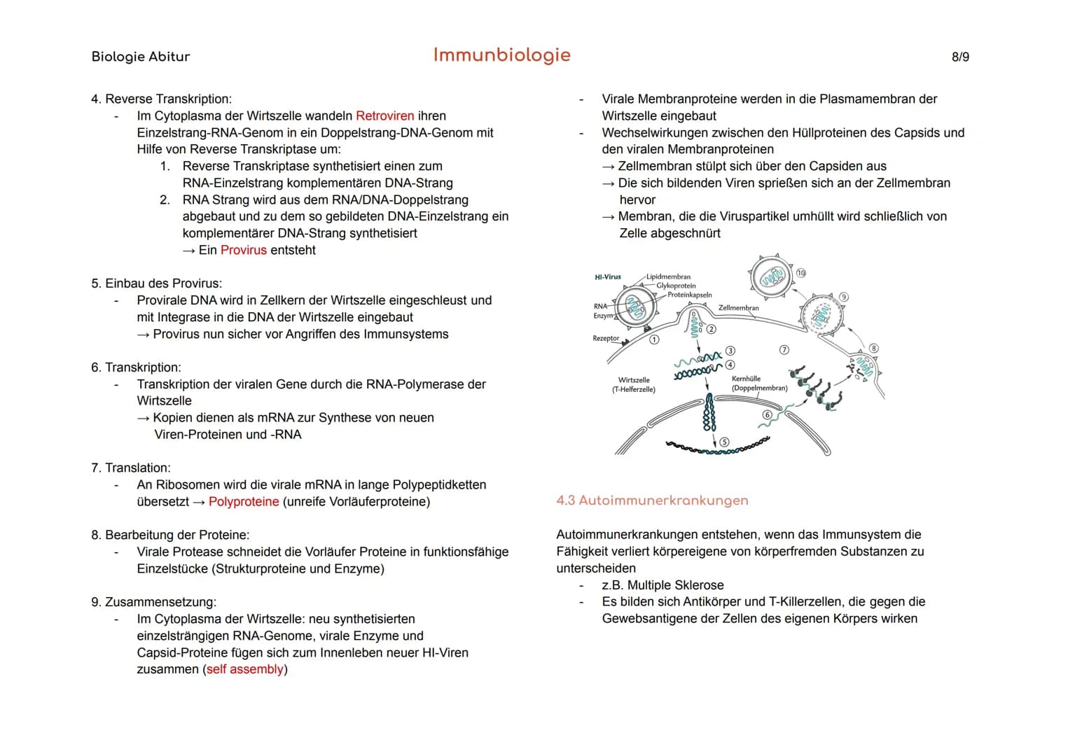 
<p>Das Blut hat verschiedene Aufgaben im Körper, darunter den Stofftransport von Sauerstoff, CO₂, Nährstoffen und Hormonen, die Regulation 