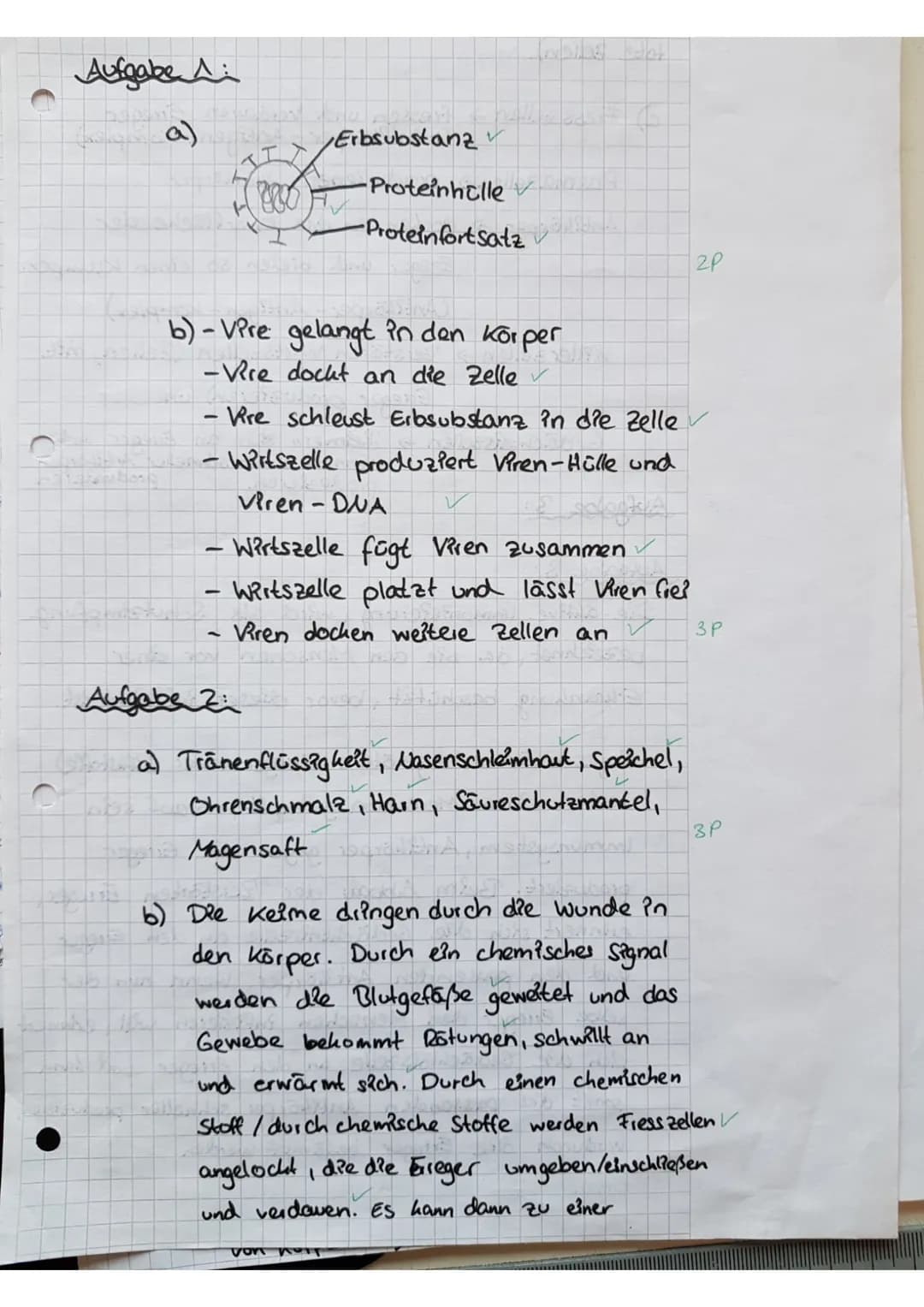 Biologie Klassenarbeit - Klasse 8
Datum: 11.05.2017
Name:
Punkte:
28,5/29,5P
!!SCHREIBT SO VIEL WIE NÖTIG ABER SO WENIG WIE MÖGLICH!!
Aufgab