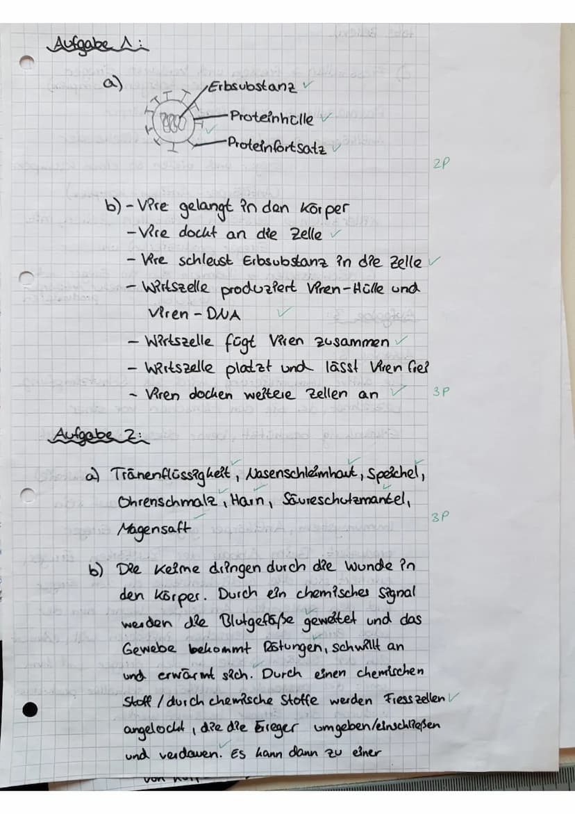 Biologie Klassenarbeit - Klasse 8
Datum: 11.05.2017
Name:
Punkte:
28,5/29,5P
!!SCHREIBT SO VIEL WIE NÖTIG ABER SO WENIG WIE MÖGLICH!!
Aufgab