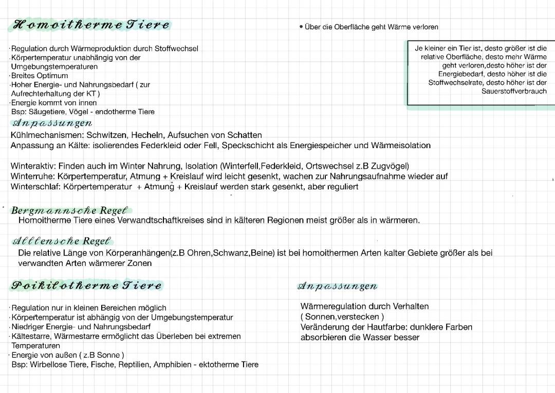 Gleichwarme und Wechselwarme Tiere - Merkmale, Beispiele und Regeln