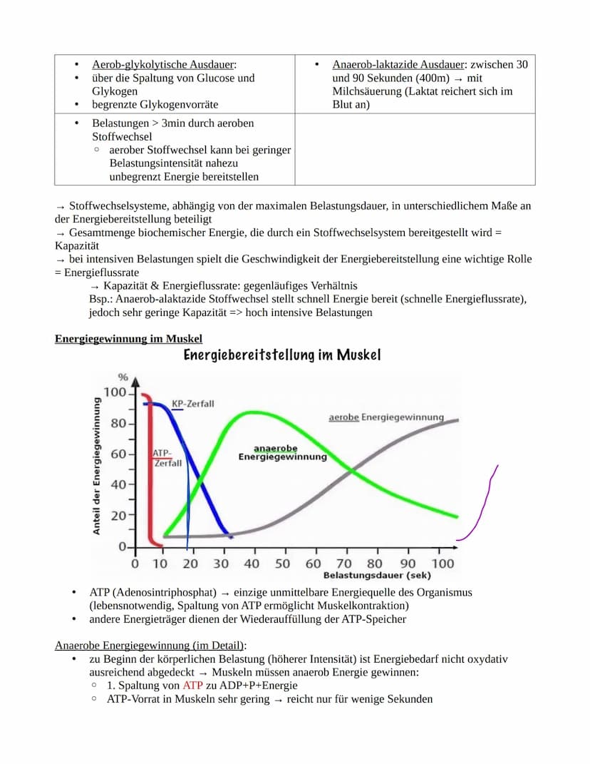 Ausdauer
Definition: Ausdauer beschreibt die konditionelle Fähigkeit bei länger andauernden körperlichen
Belastungen psychischen, sowie phys