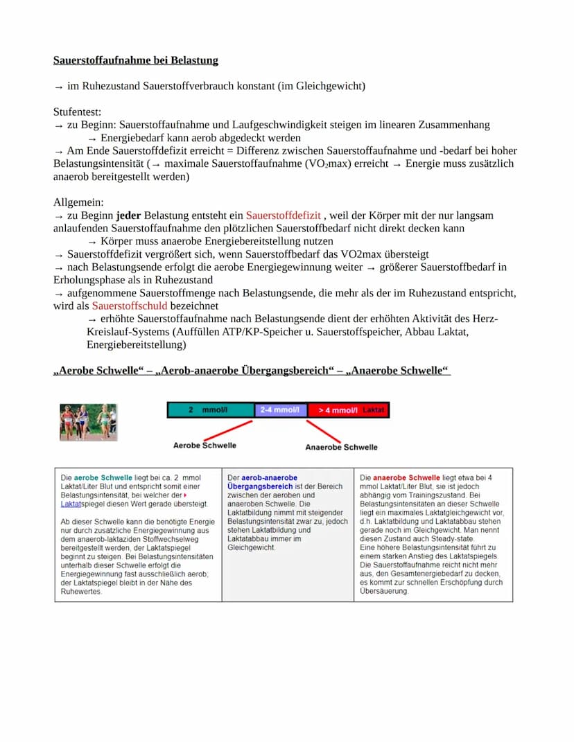 Ausdauer
Definition: Ausdauer beschreibt die konditionelle Fähigkeit bei länger andauernden körperlichen
Belastungen psychischen, sowie phys