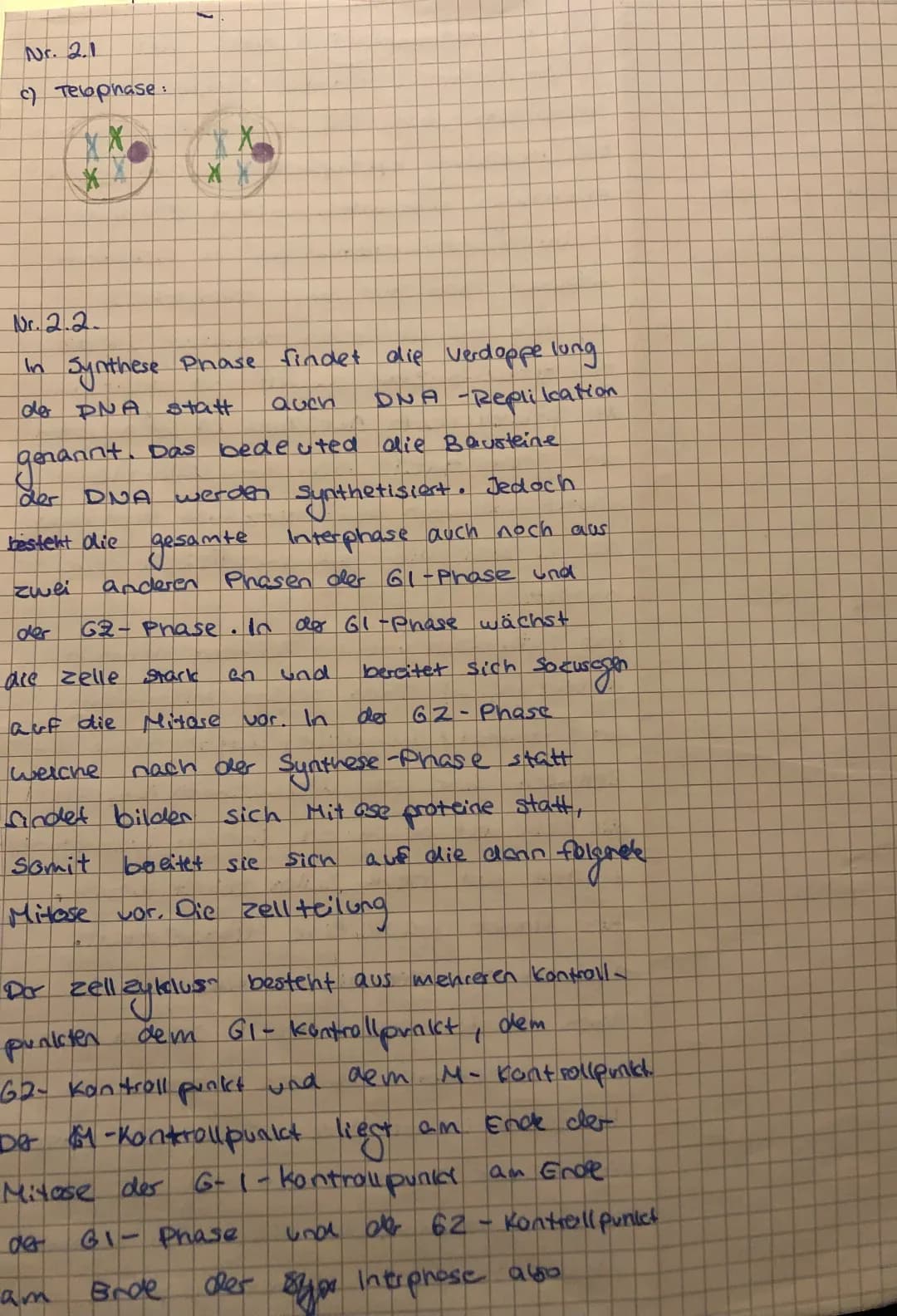 Zellorganellen, Zellaufbau &amp; Mitose Bio Klausur EF