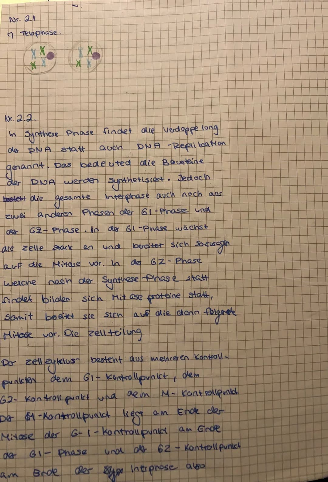 EF Biologie GK 3 -
Material 2.2: Der Zellzyklus
Der Prozess der Zellverdopplung setzt sich aus der Mitose und der Interphase zusammen. Die
I