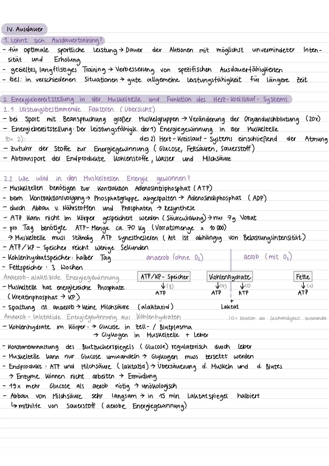 1. Sich
fit fühlen
- Nicht - Fit - Sein" / eingeschränkte Leistungsfähigkeit durch Müdigkeit, Konzentration,
Verletzungen, Ausdauer) → Einsc