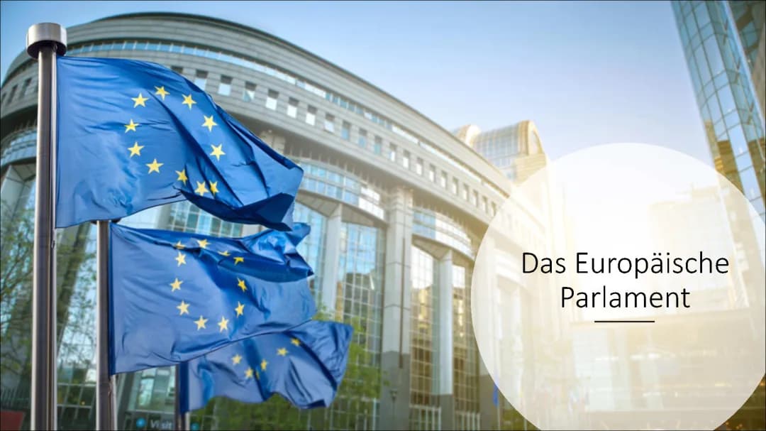 Das Europäische Parlament
