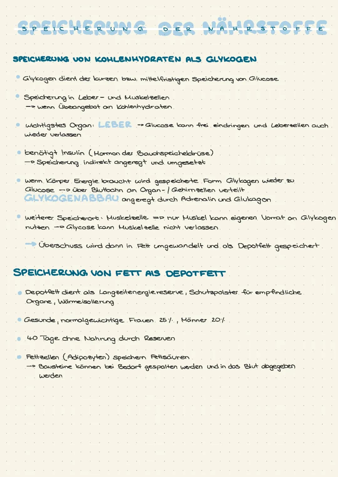 Speicherung der Nährstoffe