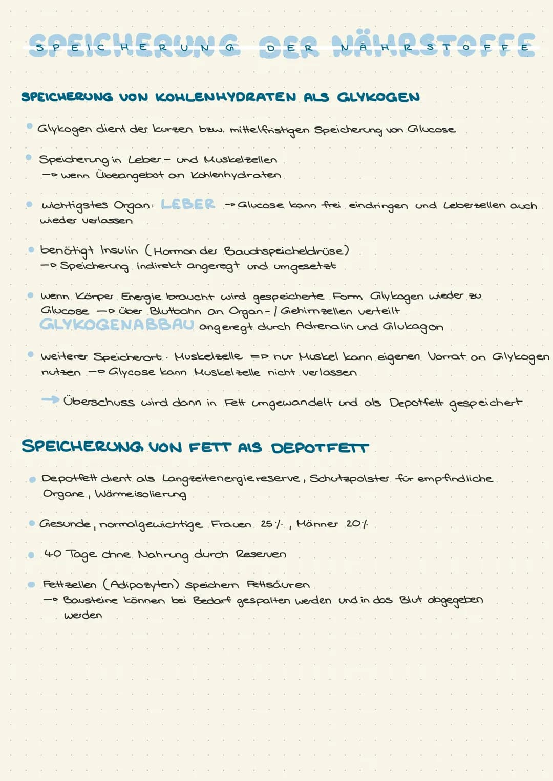 SPEICHERUNG DER NÄHRSTOFFE
SPEICHERUNG VON KOHLENHYDRATEN ALS GLYKOGEN
Glykogen dient der kurzen bzw. mittelfristigen Speicherung von Glucos