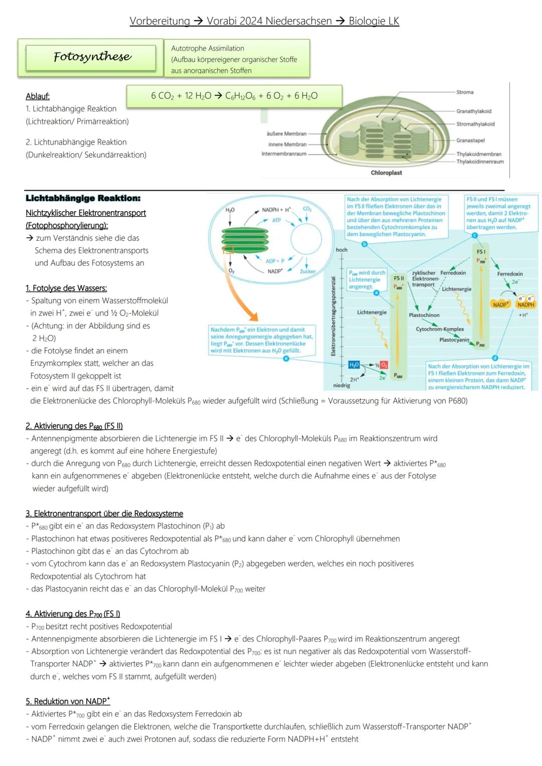 Fotosynthese
Ablauf:
1. Lichtabhängige Reaktion
Vorbereitung → Vorabi 2024 Niedersachsen → Biologie LK
(Lichtreaktion/Primärreaktion)
2. Lic