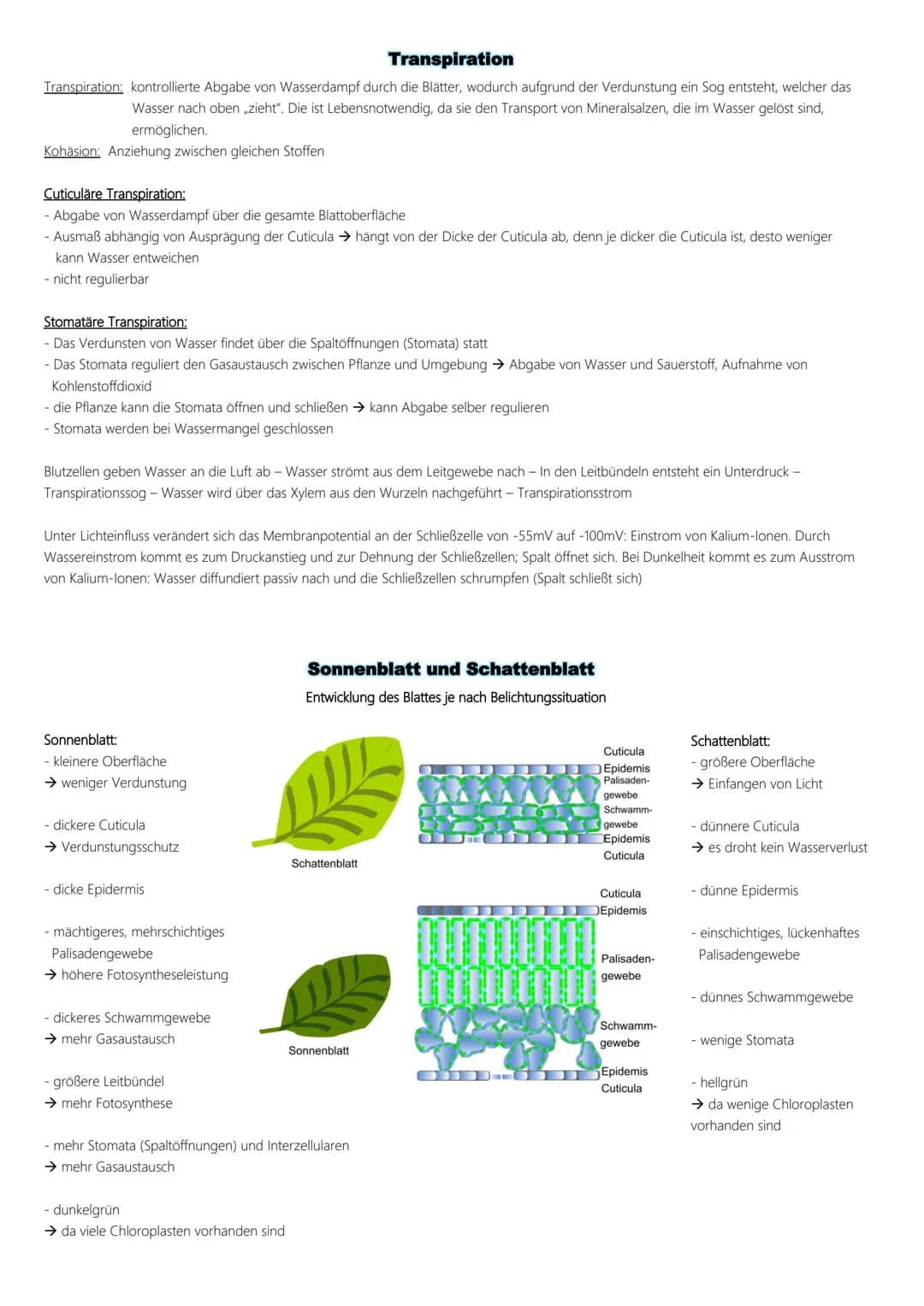 Fotosynthese
Ablauf:
1. Lichtabhängige Reaktion
Vorbereitung → Vorabi 2024 Niedersachsen → Biologie LK
(Lichtreaktion/Primärreaktion)
2. Lic