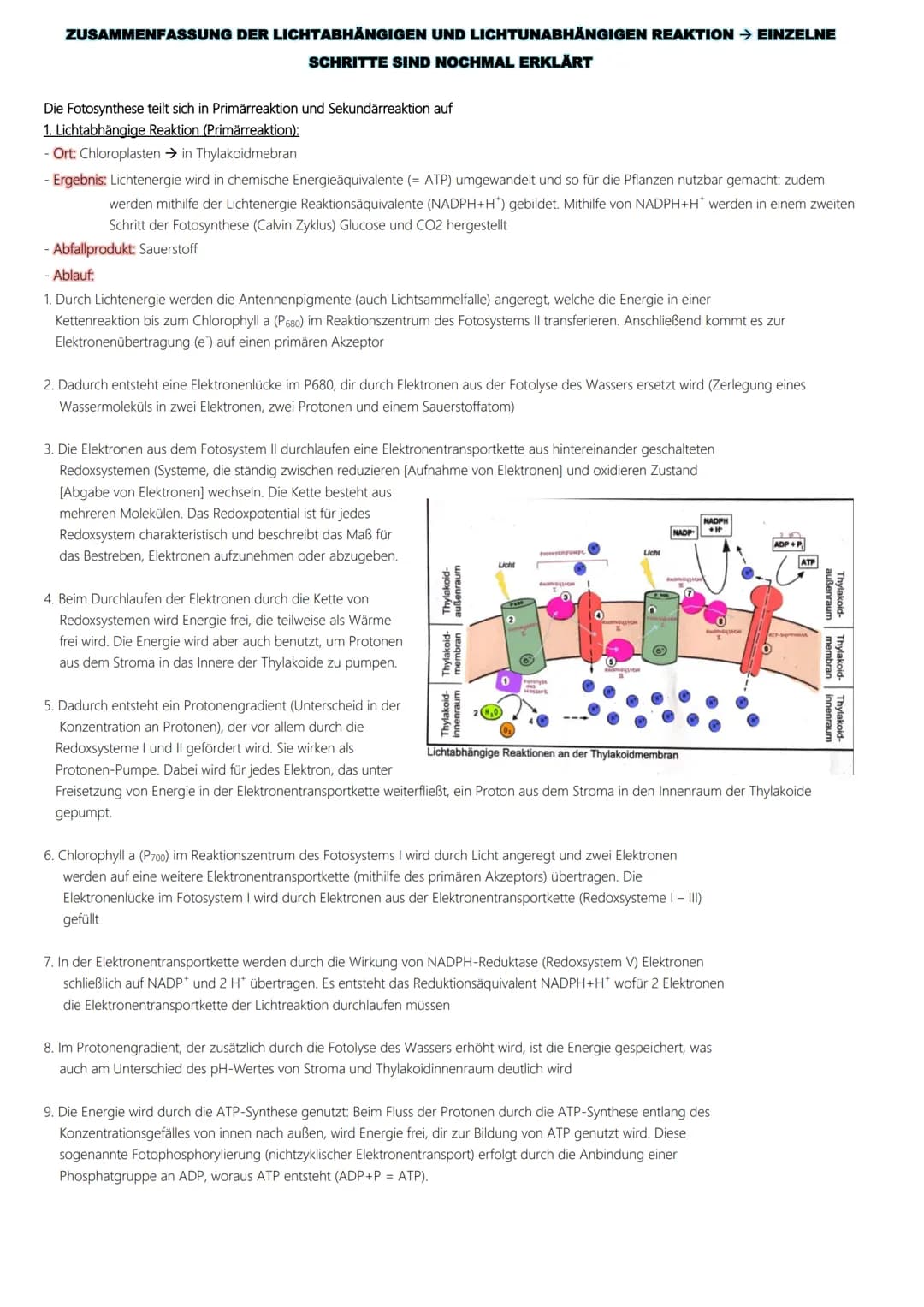 Fotosynthese
Ablauf:
1. Lichtabhängige Reaktion
Vorbereitung → Vorabi 2024 Niedersachsen → Biologie LK
(Lichtreaktion/Primärreaktion)
2. Lic