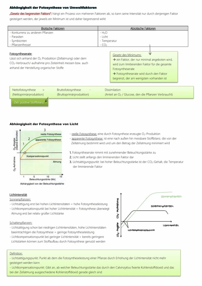 Fotosynthese
Ablauf:
1. Lichtabhängige Reaktion
Vorbereitung → Vorabi 2024 Niedersachsen → Biologie LK
(Lichtreaktion/Primärreaktion)
2. Lic