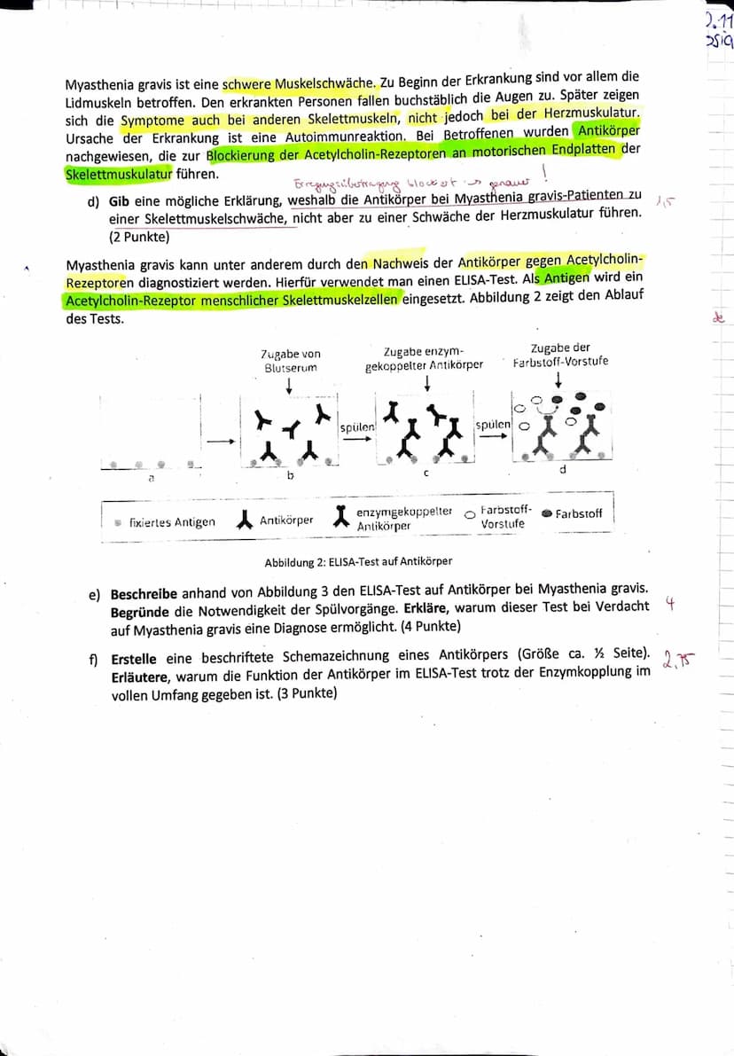 J2 Biologie
Frank
Klausur Nr. 1
Klausur Nr. 1
Viel Erfolg!
Bitte löse die Aufgaben in der angegebenen Reihenfolge auf dem separaten Bogen.
Z