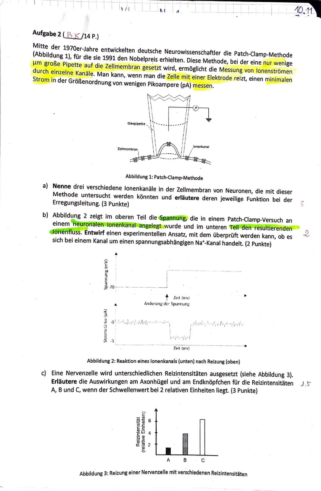 J2 Biologie
Frank
Klausur Nr. 1
Klausur Nr. 1
Viel Erfolg!
Bitte löse die Aufgaben in der angegebenen Reihenfolge auf dem separaten Bogen.
Z