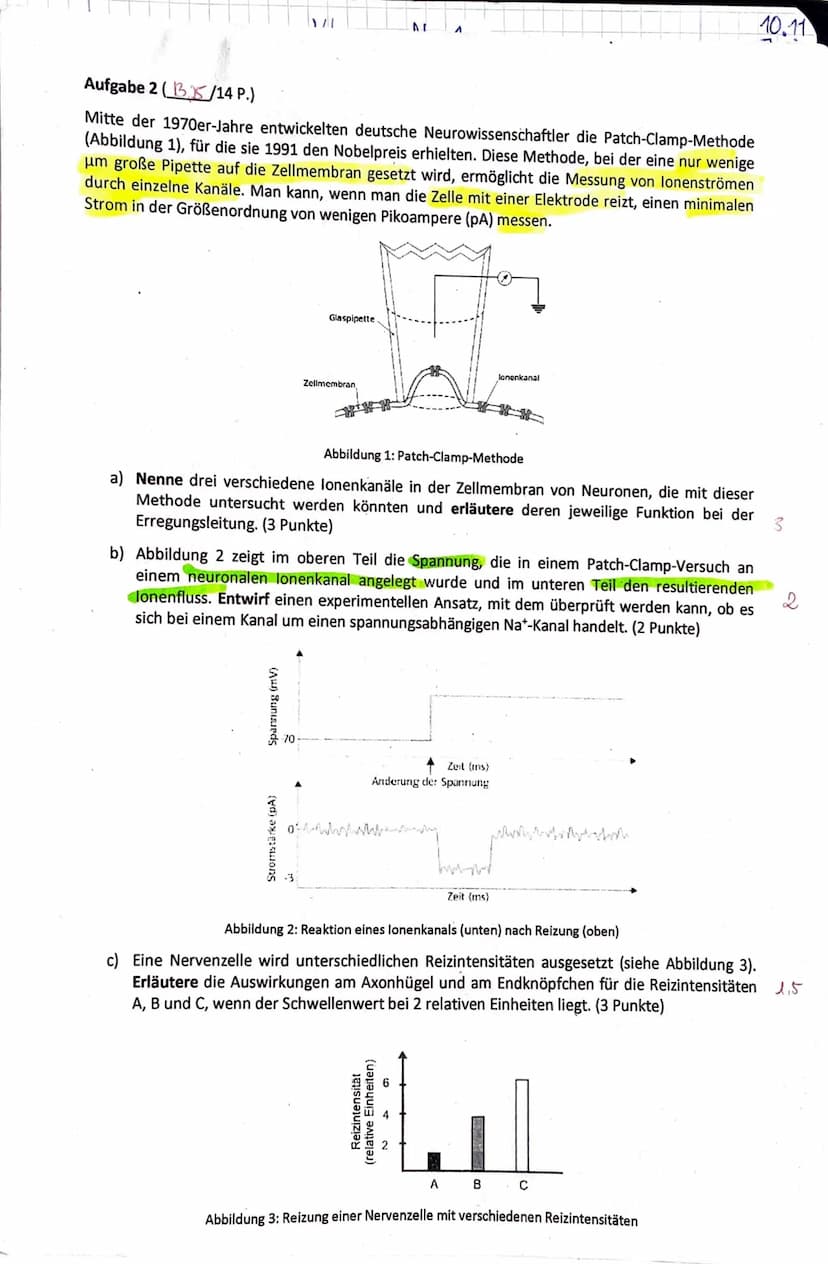 J2 Biologie
Frank
Klausur Nr. 1
Klausur Nr. 1
Viel Erfolg!
Bitte löse die Aufgaben in der angegebenen Reihenfolge auf dem separaten Bogen.
Z