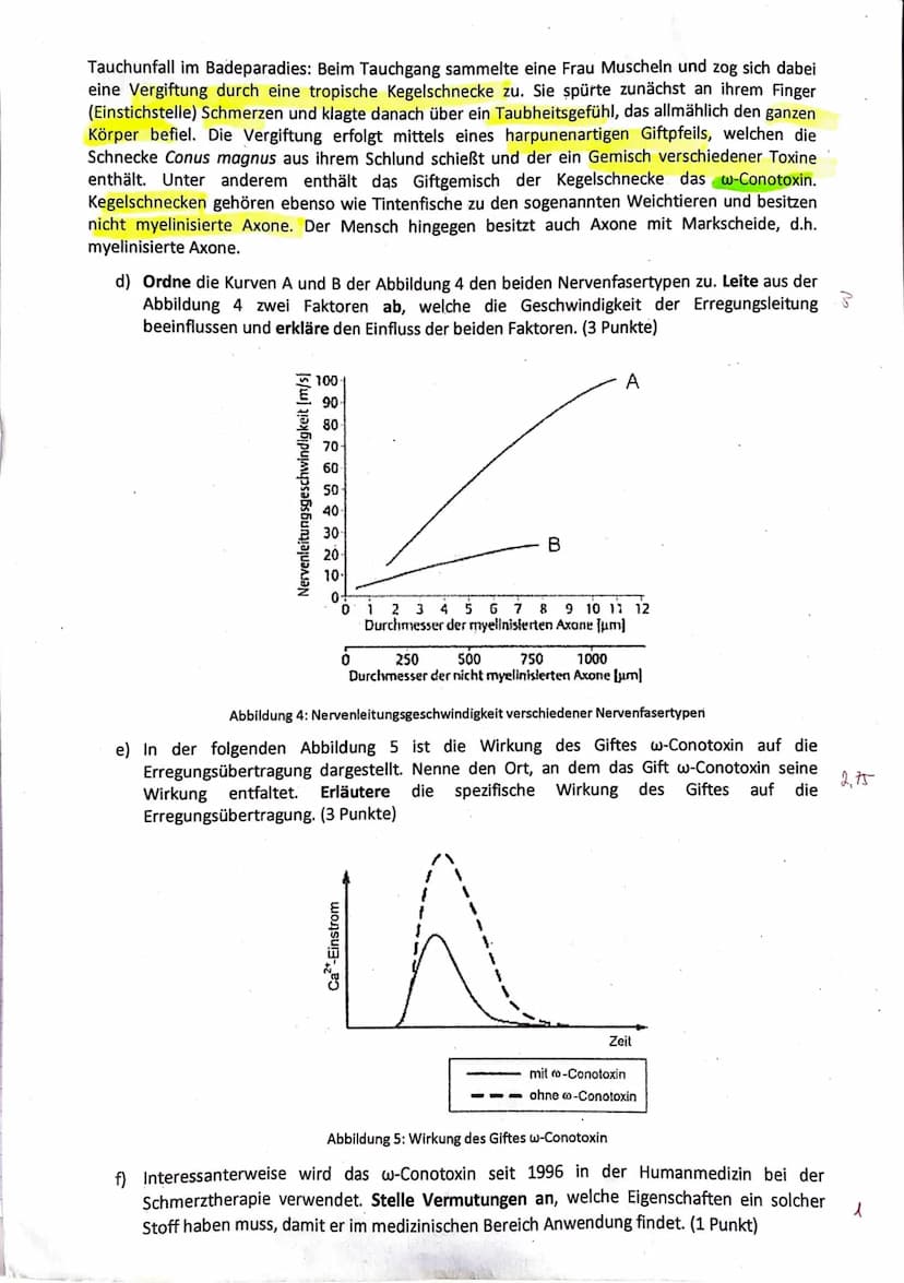 J2 Biologie
Frank
Klausur Nr. 1
Klausur Nr. 1
Viel Erfolg!
Bitte löse die Aufgaben in der angegebenen Reihenfolge auf dem separaten Bogen.
Z