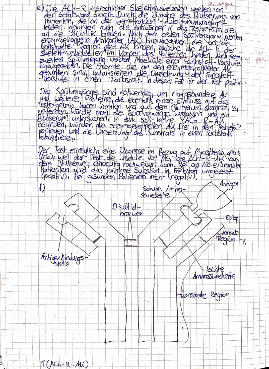 J2 Biologie
Frank
Klausur Nr. 1
Klausur Nr. 1
Viel Erfolg!
Bitte löse die Aufgaben in der angegebenen Reihenfolge auf dem separaten Bogen.
Z
