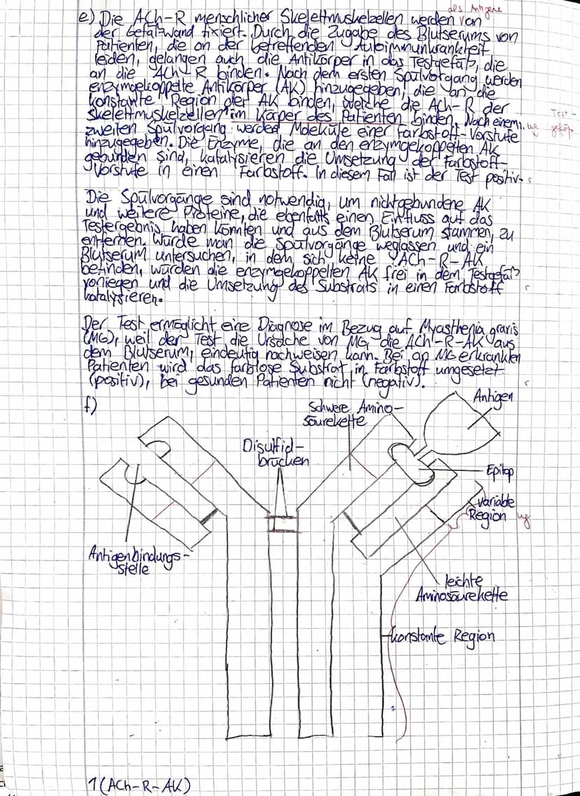 J2 Biologie
Frank
Klausur Nr. 1
Klausur Nr. 1
Viel Erfolg!
Bitte löse die Aufgaben in der angegebenen Reihenfolge auf dem separaten Bogen.
Z