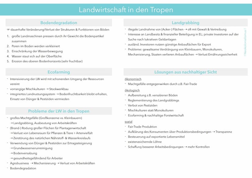 Kalte Zone
Kalte Zone
Polarzone (ewiges Eis)
Subpolare Zone
-
Gemäßigte Breiten
Subtropen
Subtropen
Gemäßigte Breiten
Subpolare Zone
H
Polar