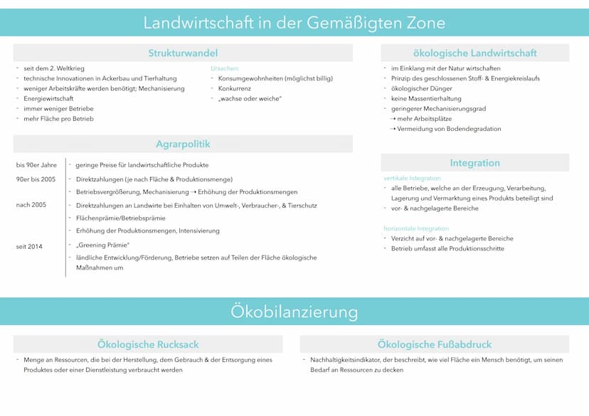 Kalte Zone
Kalte Zone
Polarzone (ewiges Eis)
Subpolare Zone
-
Gemäßigte Breiten
Subtropen
Subtropen
Gemäßigte Breiten
Subpolare Zone
H
Polar