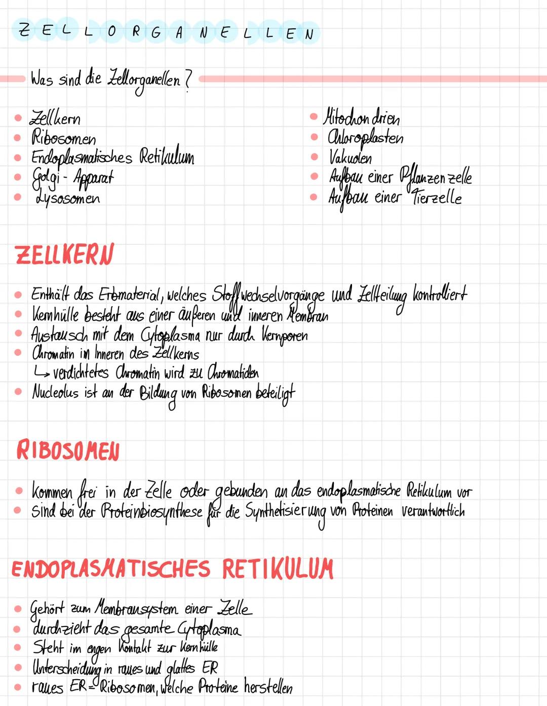 ZELLORGANELLEN
Was sind die Zellorganellen?
• Zellkern
Ribosomen
Endoplasmatisches Retikulum
Golgi - Apparat
Lysosomen
● Mitochondrien
Chlor