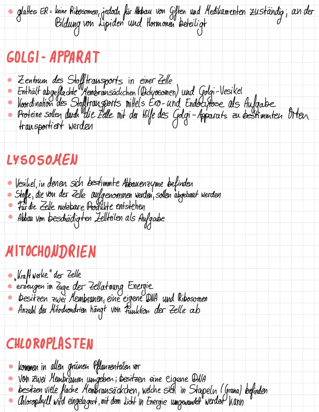 ZELLORGANELLEN
Was sind die Zellorganellen?
• Zellkern
Ribosomen
Endoplasmatisches Retikulum
Golgi - Apparat
Lysosomen
● Mitochondrien
Chlor