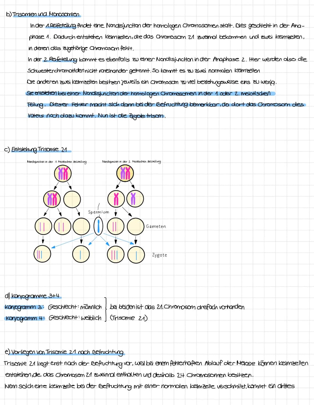 Was sind Genommutationen?
a) Definition. Genommutationen/numerische Chromosomenanamalien
Bei der Genommutation verändert sich die Anzahl der