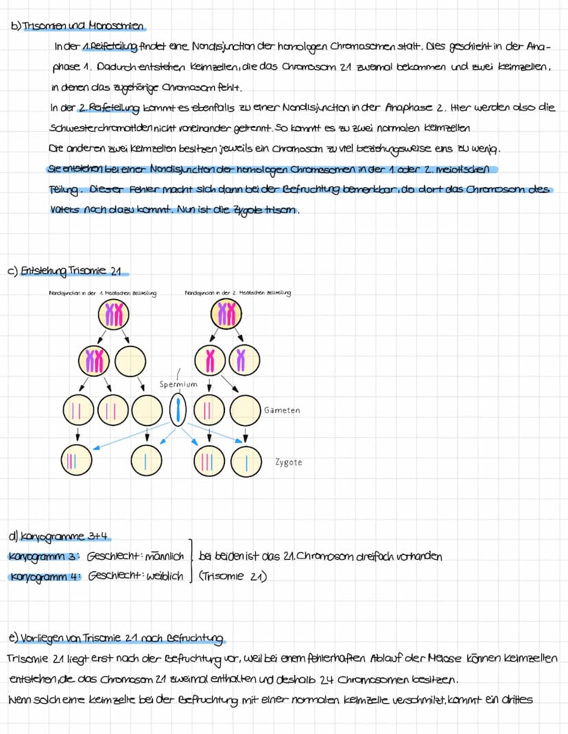 Was sind Genommutationen?
a) Definition. Genommutationen/numerische Chromosomenanamalien
Bei der Genommutation verändert sich die Anzahl der