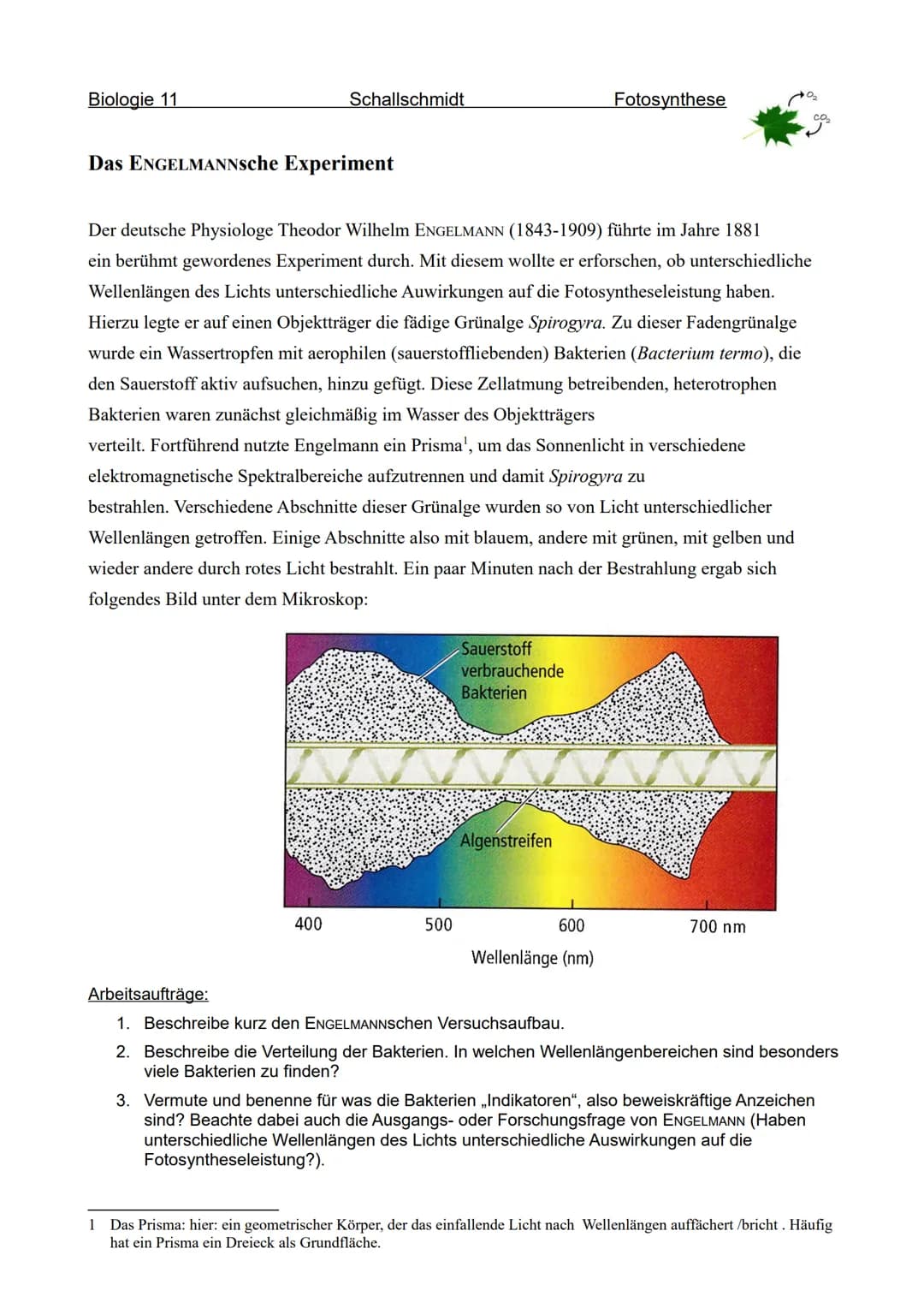 ENGELMANISCHER VERSUCH
BIOLOGIE
Aufgabe 1.
Der Biologe Engelmann hat bereits im 19. Jahrhundert die Wirksamkeit von Lichtenergie
unterschied