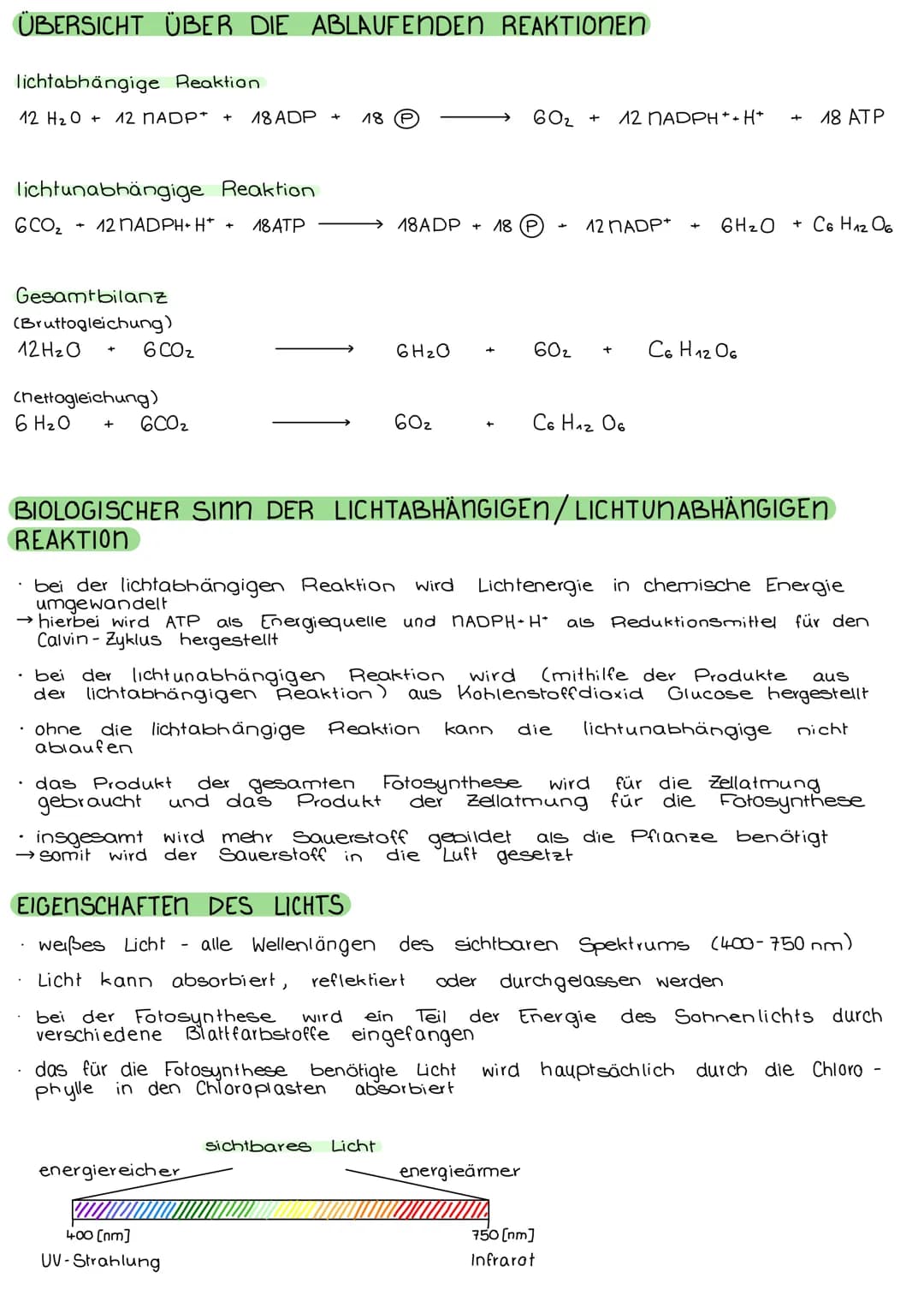 FOTOSYNTHESE
CHLOROPLASTEN
• verleihen der Pflanze ihre grüne Farbe
• für Fotosynthese zuständig (→ Zellstoffwechsel)
• nur in pflanzlichen 
