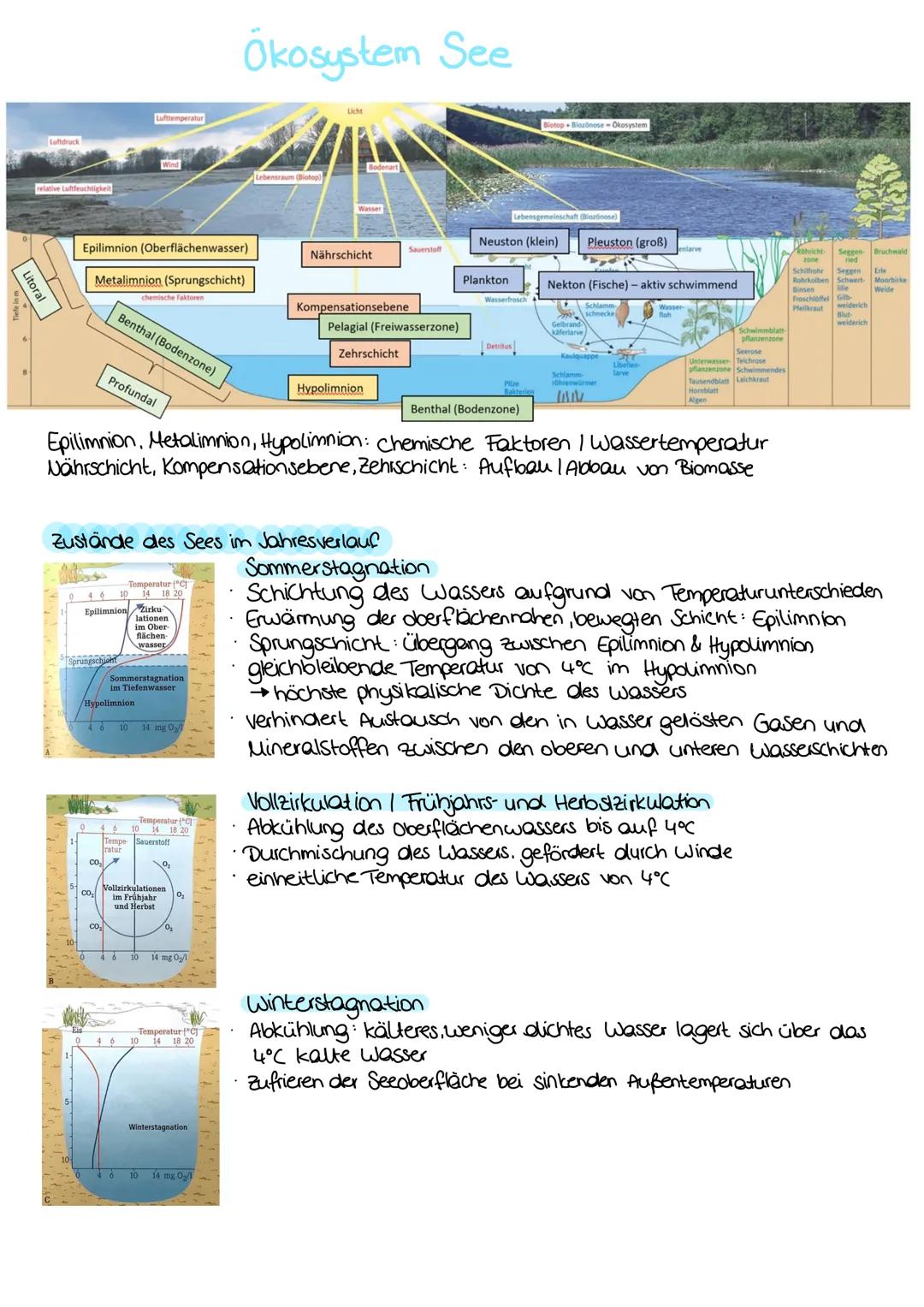# ÖKOLOGIE

Ökologie wissenschaftliche Erforschung zwischen Lebewesen untereinander und ihrer Umwelt

Autökologie
Systemökologie
Populations