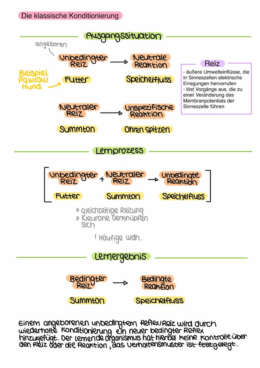 VERHALTENSBIOLOGIE
Als Verhalten eines Lebewesens bezeichnet man in der Verhaltensbiologie die Gesamtheit
seiner Bewegungen, Lautäußerungen 