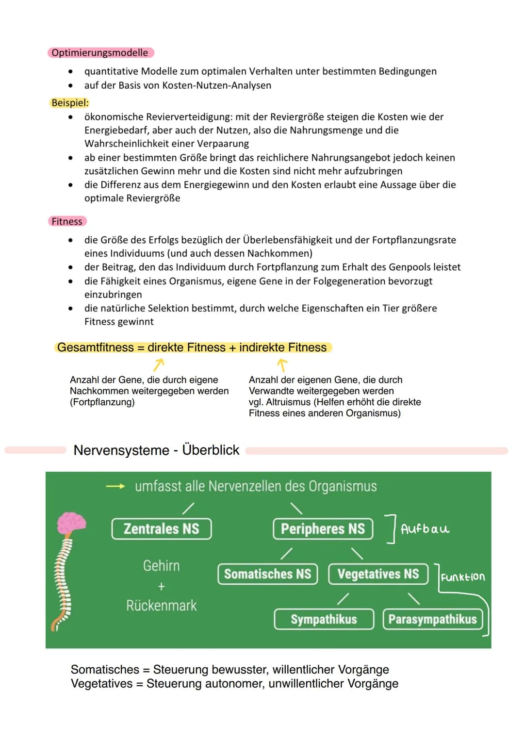 VERHALTENSBIOLOGIE
Als Verhalten eines Lebewesens bezeichnet man in der Verhaltensbiologie die Gesamtheit
seiner Bewegungen, Lautäußerungen 