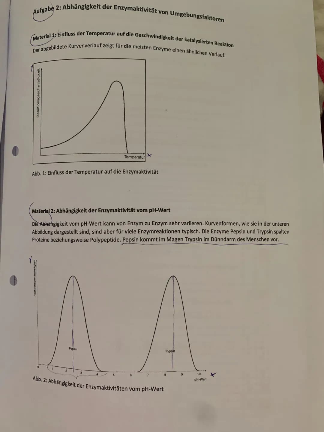 Aufgabenstellungen
Aufgabe 1: Enzyme bei der Verwendung von Waschmitteln
V
1.1 Beschreiben Sie die Messwerte der Tabelle 1 (Material 2) und 