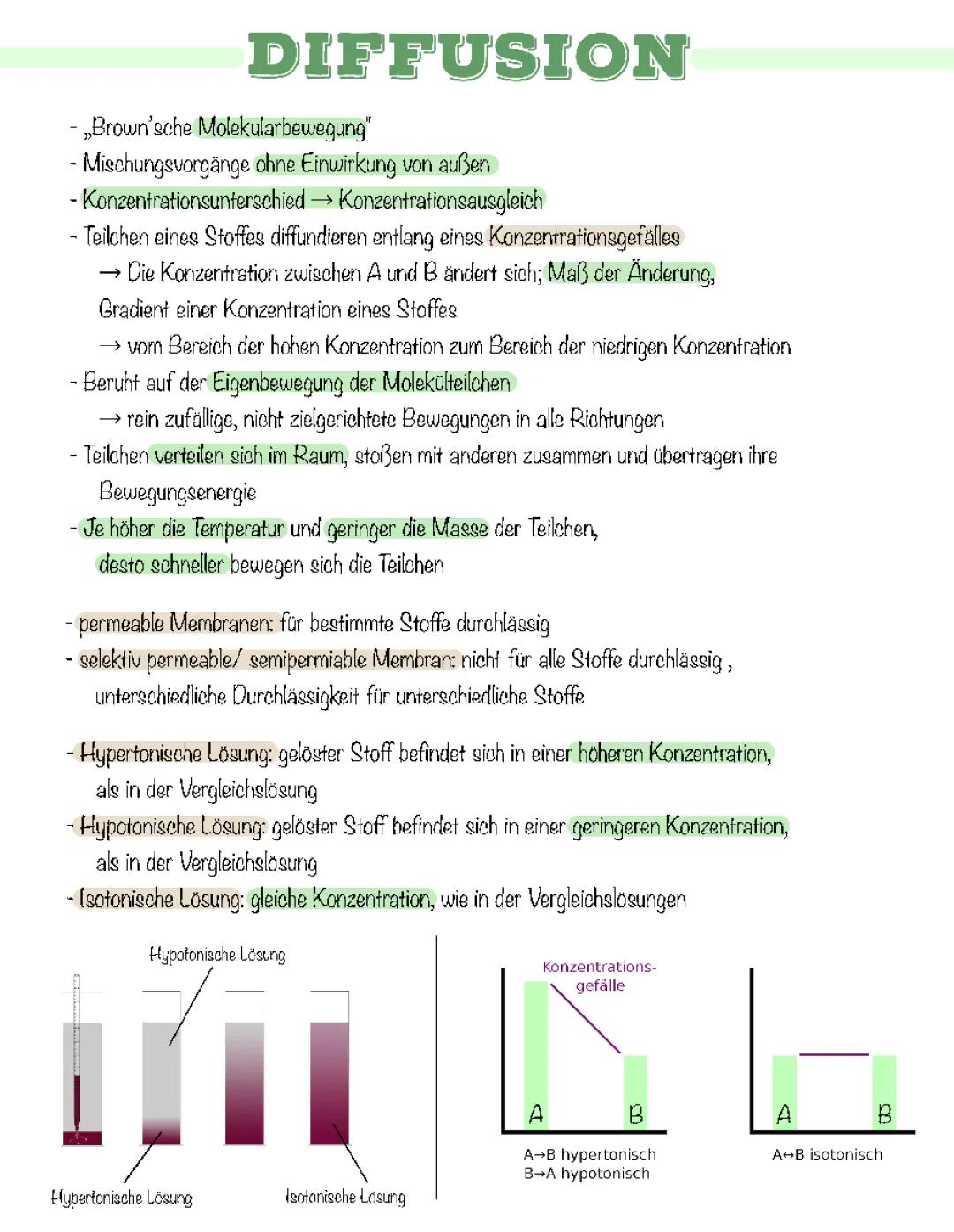 Osmose und Diffusion einfach erklärt - Beispiele und Unterschiede