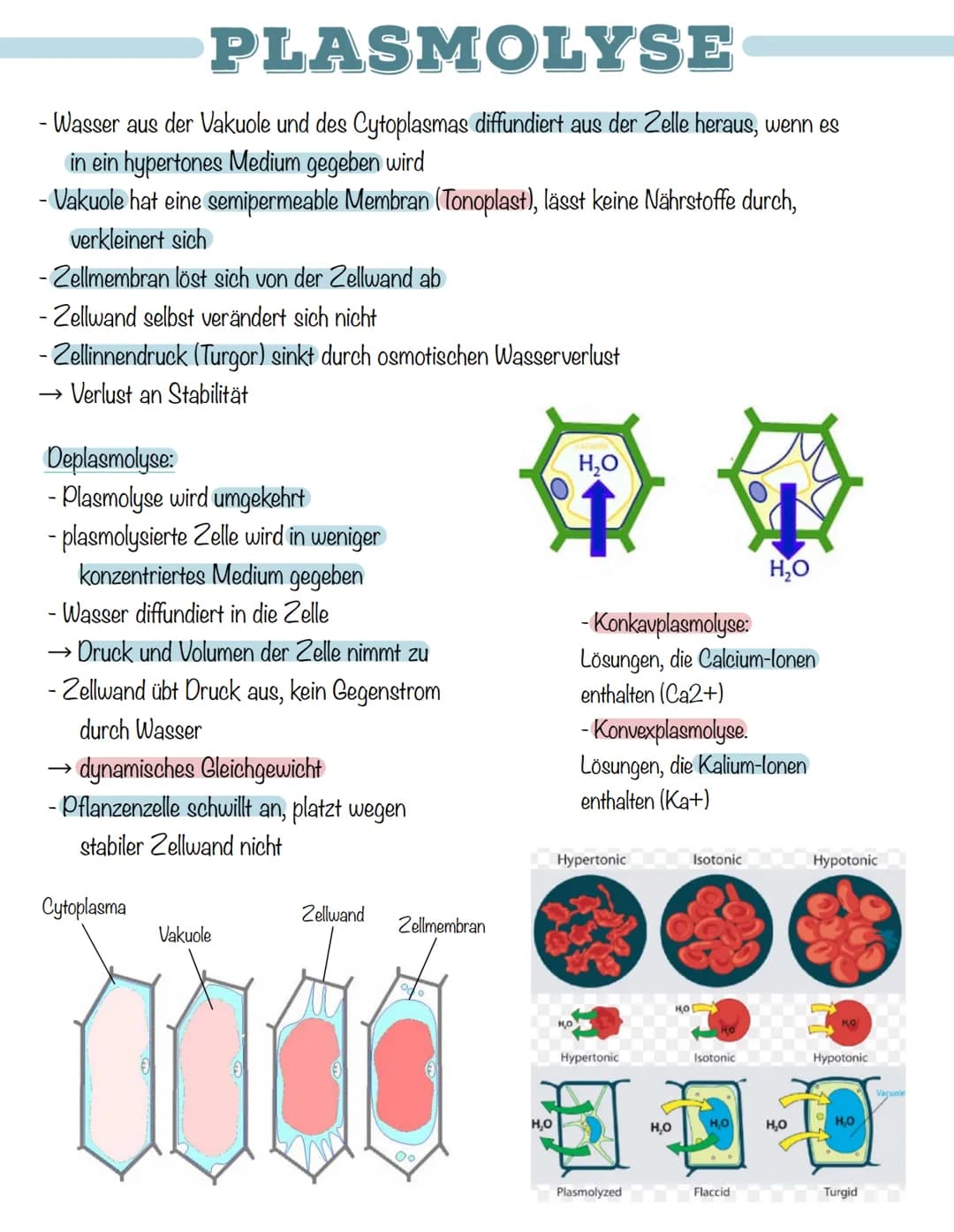 DIFFUSION
- Brown'sche Molekularbewegung"
- Mischungsvorgänge ohne Einwirkung von außen
- Konzentrationsunterschied → Konzentrationsausgleic