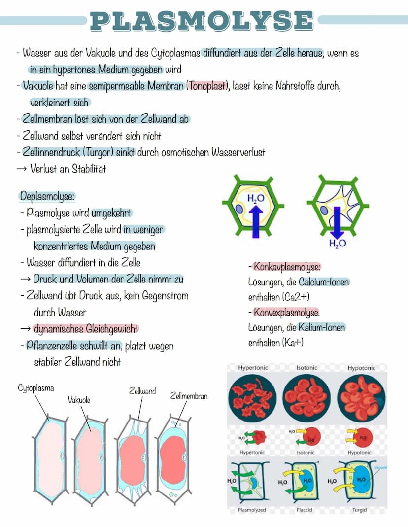 DIFFUSION
- Brown'sche Molekularbewegung"
- Mischungsvorgänge ohne Einwirkung von außen
- Konzentrationsunterschied → Konzentrationsausgleic