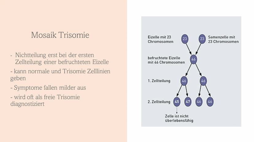 Trisomie 21
Down-Syndrom 1.
Allgemeines Trisomie 21
Wie entsteht Trisomie 21
3.
Formen von Trisomie 21
4. Entdeckung und Geschichte
5. Häufi