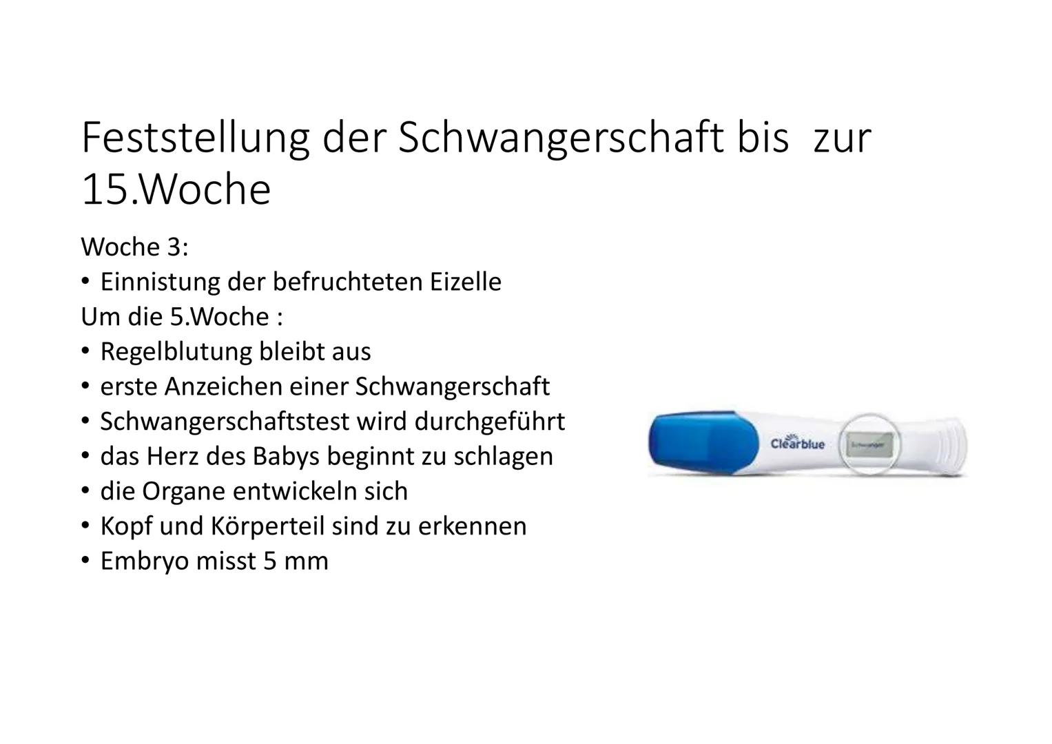 Die Schwangerschaft von Anfang
bis Ende
Was ist eigentlich
Schwangerschaftsvorsorge? Anzeichen einer Schwangerschaft
Müdigkeit
• Übelkeit
●
