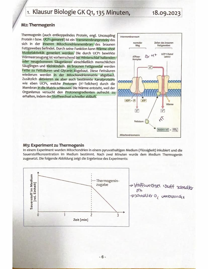 1. Klausur Biologie GK Q1, 135 Minuten,
M1: Pyruvatoxidation und Citratzyklus
NADH+H
NAD
COO
HỌ-CH
I
CH
I
COO
Malat
0000
H₂0
COO
CH
11
HC
CO