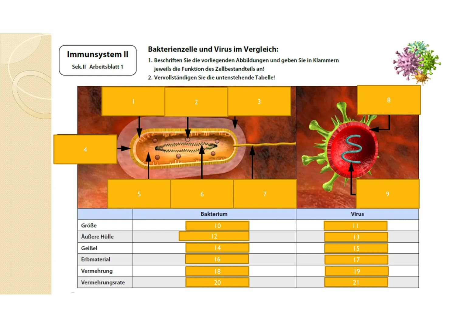 Immunsystem II
Sek.ll Arbeitsblatt 2
Erklärung
Benennung
beteiligte Zellen
bzw. Strukturen
Erklärung
Überblick über das Abwehrsystem:
Vervol