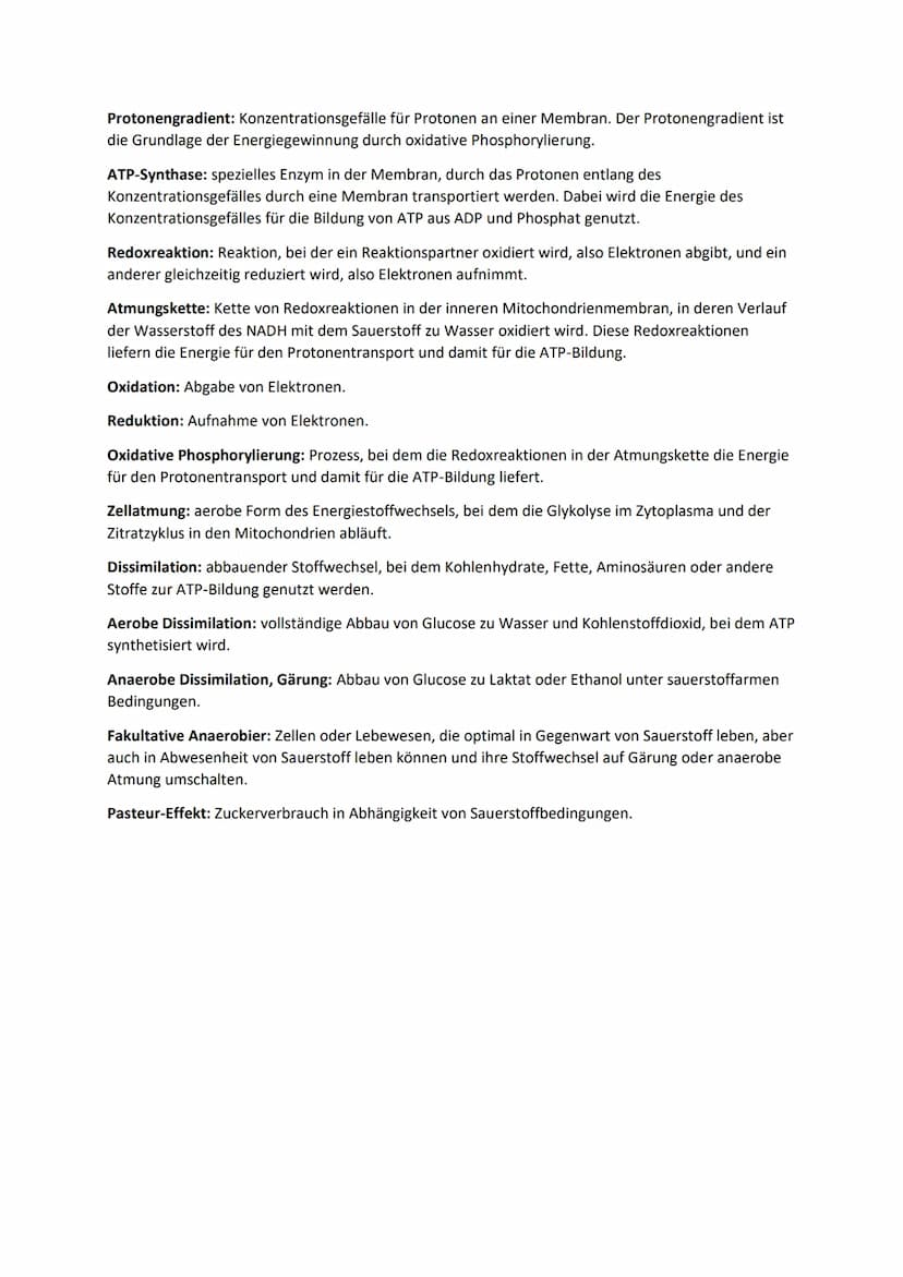 DISSIMILATION
GLOSSAR
Grundlagen biologischer Reaktionen
Offene Systeme: an dessen Begrenzung ein ständiger Austausch von Material, Energie 