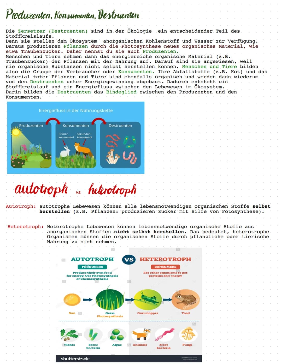 BIOLOGIE
Ökologie.
Ökologie beschreibt die Beziehungen von Lebewesen, also Tieren und Pflanzen,
untereinander und ihre Wechselwirkungen mit 