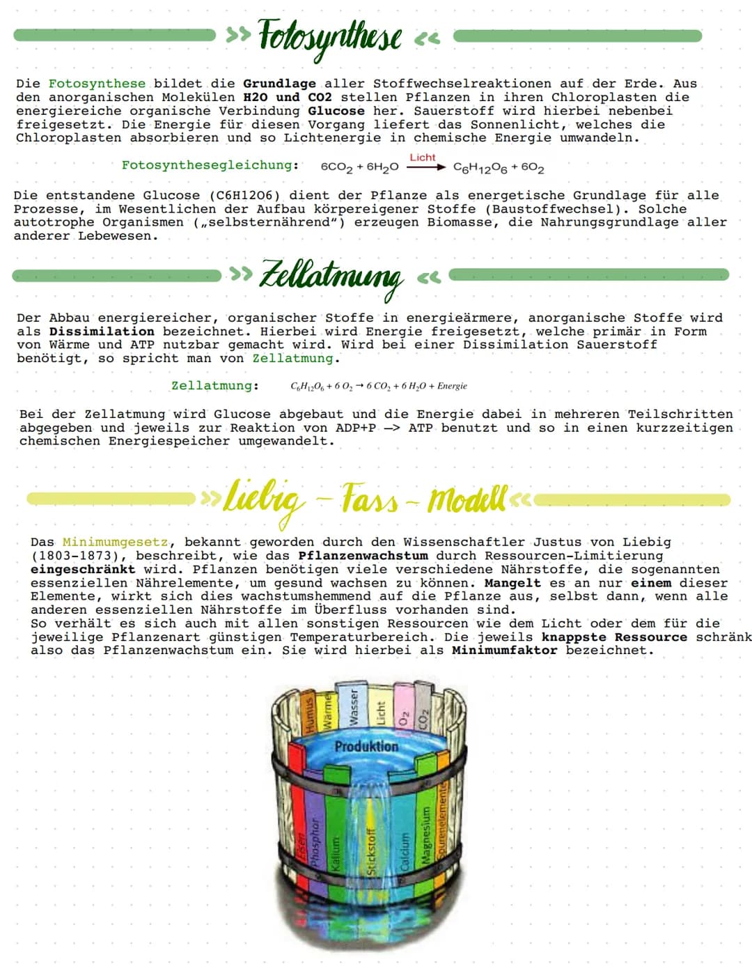 BIOLOGIE
Ökologie.
Ökologie beschreibt die Beziehungen von Lebewesen, also Tieren und Pflanzen,
untereinander und ihre Wechselwirkungen mit 