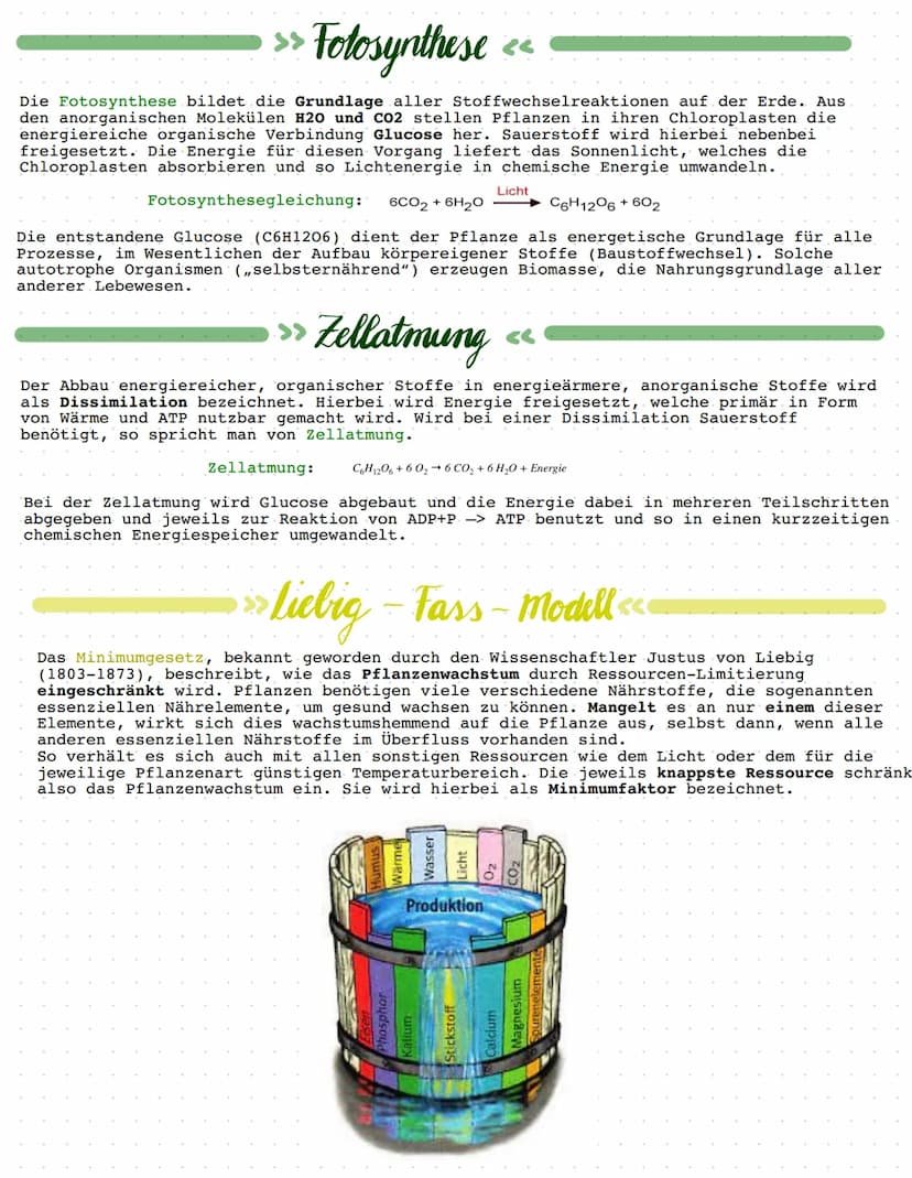 BIOLOGIE
Ökologie.
Ökologie beschreibt die Beziehungen von Lebewesen, also Tieren und Pflanzen,
untereinander und ihre Wechselwirkungen mit 